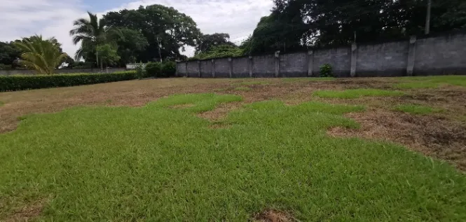 SE VENDE BELLA PROPIEDAD EN LA GARITA, ALAJUELA.  en Garita, Alajuela — ₡ 110 000 000 - Foto 3 de 5