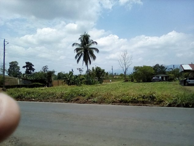 Venta de terreno 1000m2 en La Fortuna, San Carlos, Alajuela — ₡ 35 000 000 - Foto 2 de 4