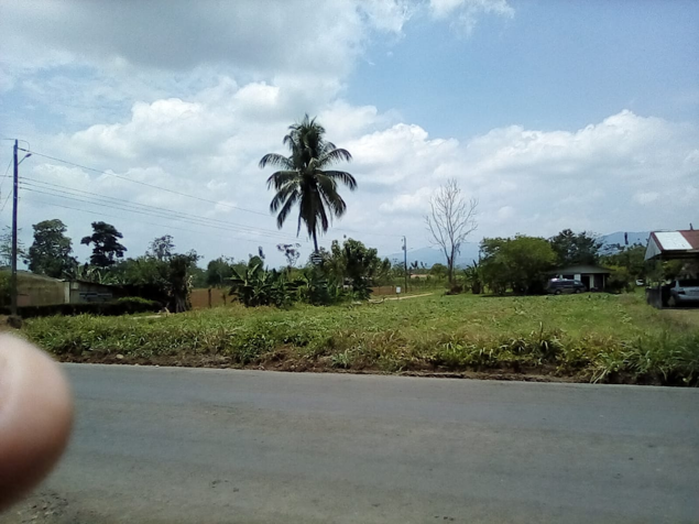 Venta de terreno 1000m2 en La Fortuna, San Carlos, Alajuela — ₡ 35 000 000 - Foto 2 de 4