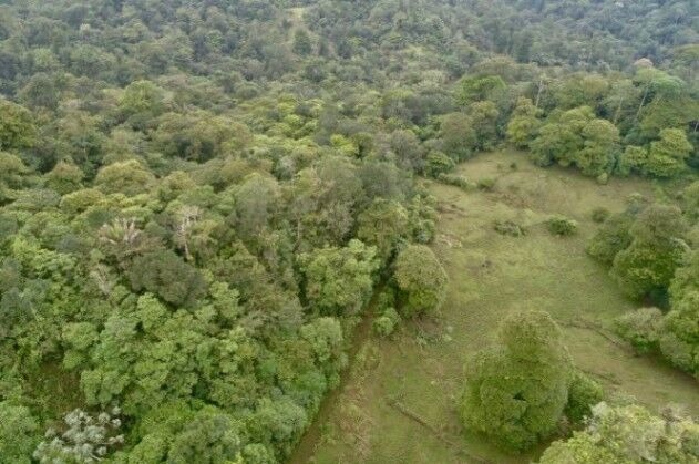 Terreno Venta Guápiles, Pococí Limón #26-1792 en Guápiles, Pococí, Limón — ₡ 40 000 000