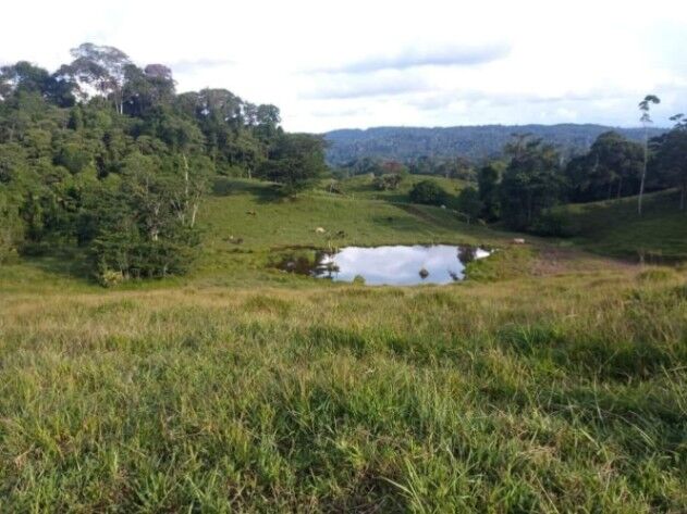Increíble Finca Ganadera en Cutris de San Carlos, Alajuela,Costa Rica. en Cutris, San Carlos, Alajuela — ₡ 225 000 000
