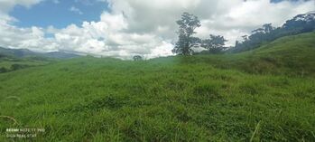 Vive el campo con propósito – Finca de 17.5 hectáreas para ganadería, frutales y trapiche en Limoncito, Coto Brus, Puntarenas — 155 000 000 ₡ - Foto 5 de 22