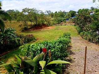 Amplio Lote en Venta en Puerto Viejo de Sarapiquí