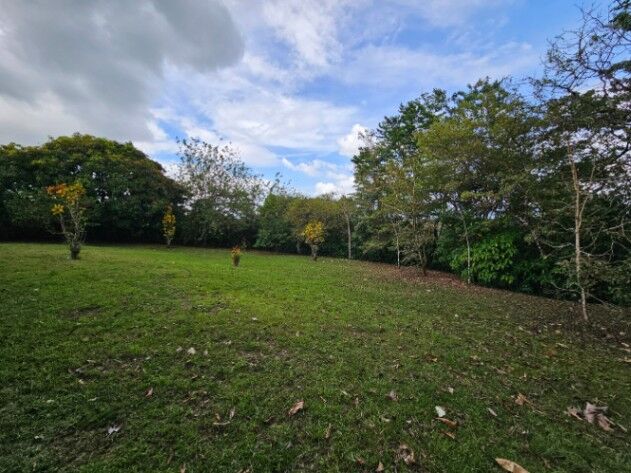 Se vende propiedad en San Isidro de Peñas Blancas, San Ramón en San Isidro, San Ramón, Alajuela — ₡ 129 200 000