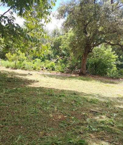 Venta de Finca en Bagaces in Bagaces, Guanacaste — $210,000 - Photo 2 of 12