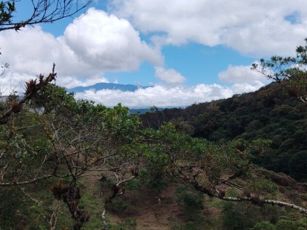 Venta Quinta San Carlos de El Guarco in San Isidro, León Cortés Castro, San José — ₡ 41 000 000