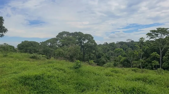 VENTA DE LOTE, RESIDENCIAL Y AGROPECUARIO, HEREDIA, SARAPIQUI en La Virgen, Sarapiquí, Heredia — ₡ 18 900 000 - Foto 2 de 5