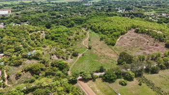 Terreno Industrial en VENTA Orotina – 59.761 m² | Alto Potencial