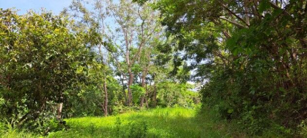 LINDA LOTE EN LA QUINTA ESENCIA DE ESPARZA en Espíritu Santo, Esparza, Puntarenas — $56,340