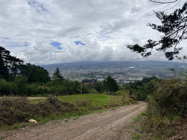 Venta de finca en Cartago, Lourdes, 5 ha, con madera in Aguacaliente, Cartago — ₡ 300 000 000
