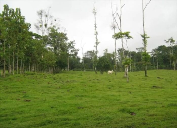 Venta de Finca  en Katira, Guatuso, Alajuela — ₡ 75 000 000