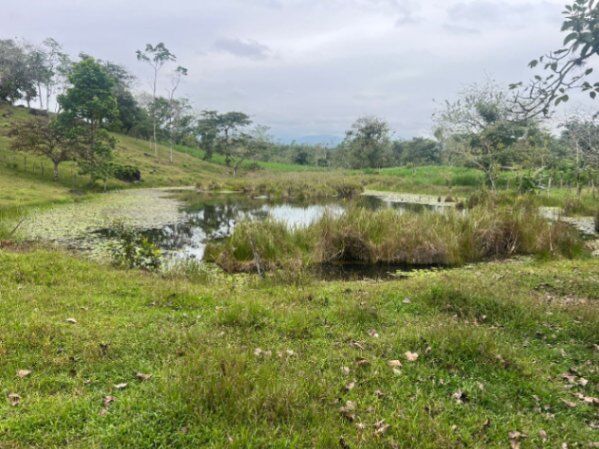 SE VENDE ESPECTACULAR FINCA EN GUATUSO DE ALAJUELA.  en Katira, Guatuso, Alajuela — $350,000