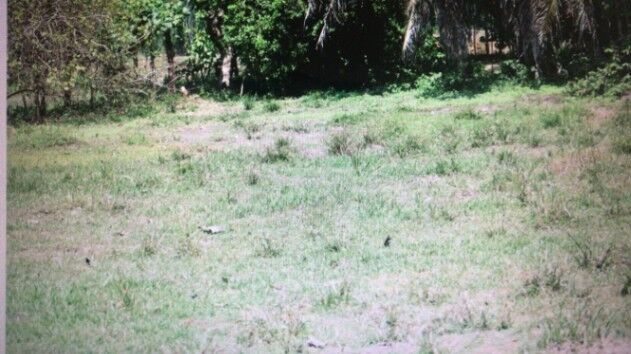   Propiedad en Venta en Matapalo de Quepos en Savegre, Quepos, Puntarenas — $165,000
