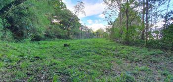 Un maravilloso terreno en la montaña in Tarbaca, Aserrí, San José — $147,000 - Photo 5 of 12