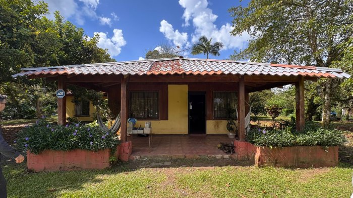 SE VENDE finca de cacao con casa, Jimenez de Pococí 28,512.59m2 in Jiménez, Pococí, Limón — ₡ 150 000 000 - Photo 2 of 6
