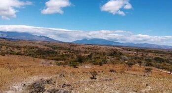 Venta de Extenso Lote en Bagaces, Guanacaste / Mls. 26-898 OFC JB in Bagaces, Guanacaste — $2,500,000 - Photo 4 of 12
