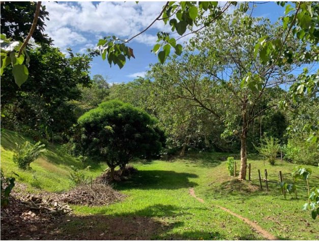 👁INVESTMENT OPPORTUNITY IN UVITA.🌴 in Bahía Ballena, Osa, Puntarenas — $475,000