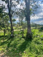 Finca en Venta La Virgen, Sarapiquí, Heredia