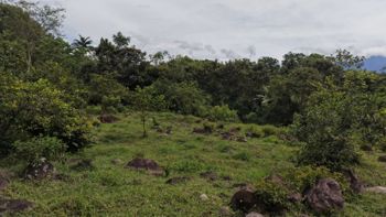 SE VENDE FINCA CON VISTAS AL CHIRRIPO Y ACCESO AL RIO BUENA VISTA en Rivas, Pérez Zeledón, San José — $400,000 - Foto 5 de 22