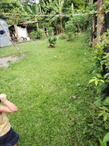 Se vende en Duacarí, Guácimo, Limón — ₡ 13 000 000