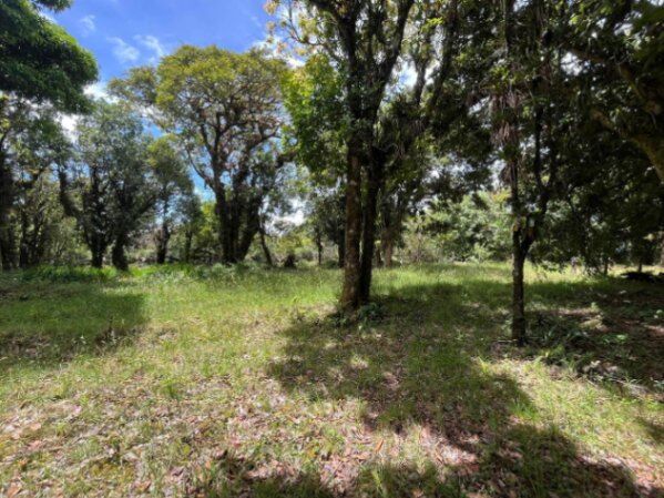 Venta de Lote en Dota, San José. RAH 25-1965 in Jardín, Dota, San José — ₡ 16 500 000