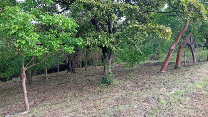 Venta Lote en Guanacaste in Santa Cruz, Guanacaste — $75,000 - Photo 3 of 8