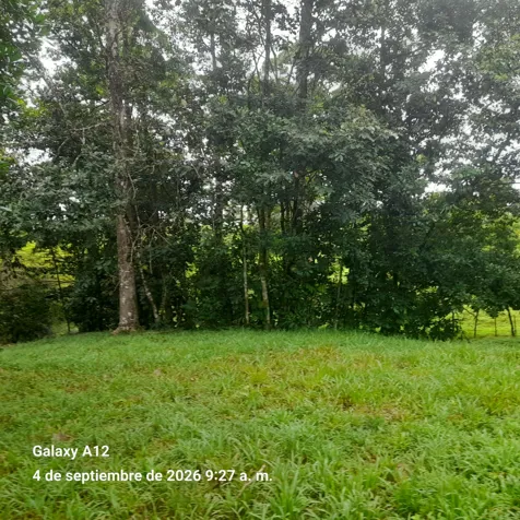 Farm for cattle ranching and agriculture. in Bijagua, Upala, Alajuela — ₡ 130 000 000 - Photo 2 of 13