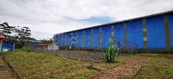 ¡Se alquila! Propiedad estratégica en Guápiles – Ex-plantel de CHEC in Guápiles, Pococí, Limón — 1 ₡ - Photo 5 of 21