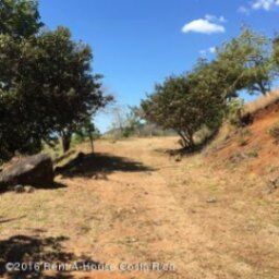 Oportunidad única! Adquiere este espectacular lote de terreno EN VENTA /OFI 25-590 en Atenas, Alajuela — ₡ 90 000