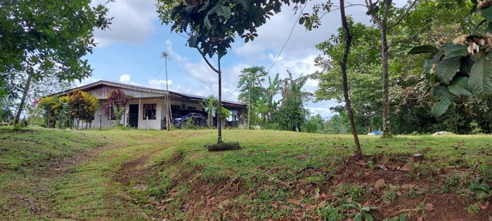 Finca en venta en San Carlos, 3.7 hectáreas con casa para restaurar en Venecia, San Carlos, Alajuela — $272,000