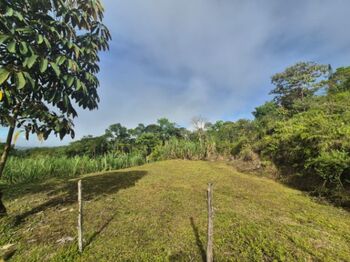 3+ hectares con vista, San Blas, General Viejo, Perez Zeledon in El General, Pérez Zeledón, San José — $129,999 - Photo 4 of 31