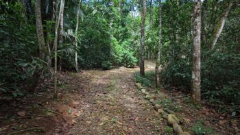 SE VENDE CASA EN SANTUARIO NATURAL CON RESERVA PRIVADA Y CASA DE HUESPEDES EN PEREZ ZELEDON en San Isidro De El General, Pérez Zeledón, San José — $650,000 - Foto 4 de 32