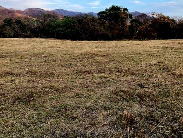 VENTA DE LOTE, GUANACASTE, SANTA CRUZ en Santa Cruz, Guanacaste — $50,000