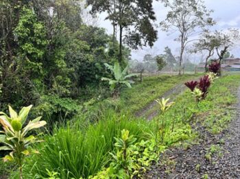Venta finca amplia con potencial agrícola o turístico en entorno natural #26-1801 GS en Peñas Blancas, San Ramón, Alajuela — $200,000 - Foto 4 de 8