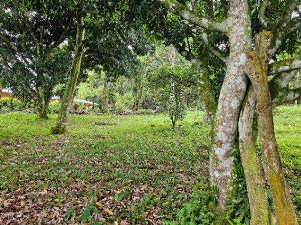 VENTA DE DOS LOTES, SAN JOSE, MORA, PICAGRES  in Picagres, Mora, San José — ₡ 40 000 000