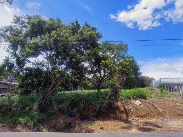 Lote para construcción en Desamparados, Alajuela — ₡ 143 000 000
