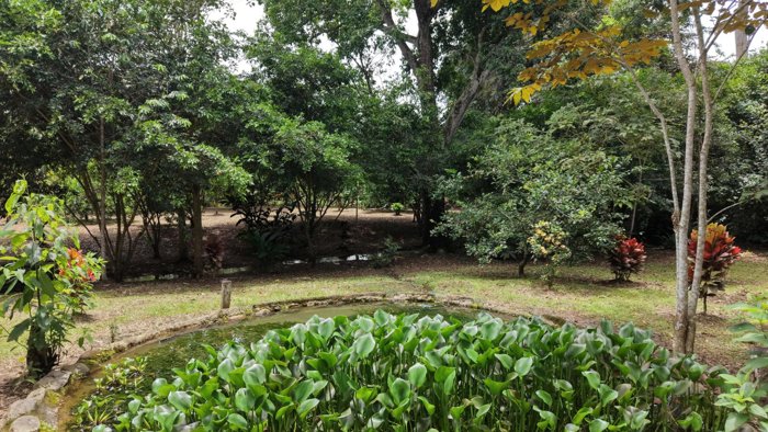 SE VENDE TERRENO LISTO PARA CONSTRUIR CON AGUA PROPIA Y EXCELENTE UBICACION in Daniel Flores, Pérez Zeledón, San José — $82,000 - Photo 2 of 15