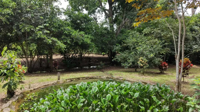FOR SALE: BUILD-READY LAND WITH OWN WATER AND EXCELLENT LOCATION in Daniel Flores, Pérez Zeledón, San José — $82,000 - Photo 2 of 15