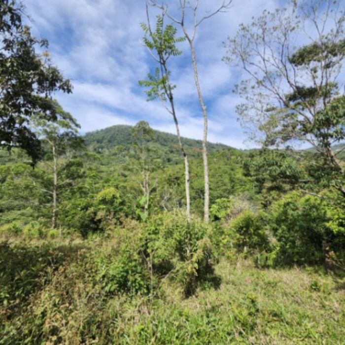 6.6 hectares con casa tipicia Quebradas, San Isidro del General, Perez Zeledon en San Isidro De El General, Pérez Zeledón, San José — $275,000
