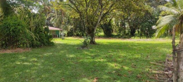 Finca ubicada en Luisiana de Siquirres in El Cairo, Siquirres, Limón — ₡ 75 000 000