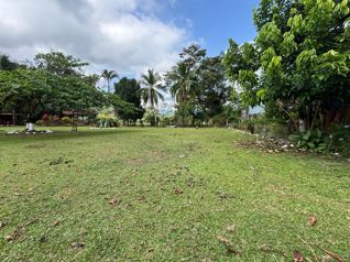 Venta de Finca en Guápiles in Guápiles, Pococí, Limón — 150 000 000 ₡ - Photo 5 of 37