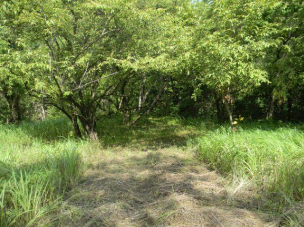 Venta de Lote en Garabito, Puntarenas.  in Jacó, Garabito, Puntarenas — $1,050,000