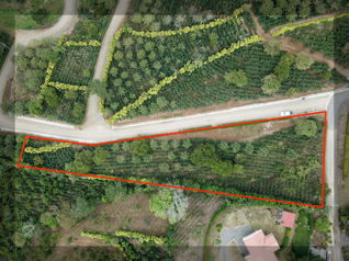 Lotes en venta en San Ramón, con vistas al Océano, clima fresco en Santiago, San Ramón, Alajuela — $80,000 - Foto 2 de 8
