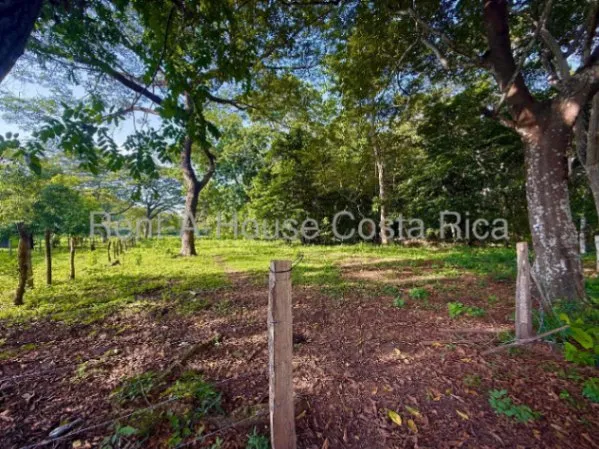 Venta de Lote de 11,630m2 en Manzanillo de Puntarenas 26-1450 in Manzanillo, Puntarenas — $120,000 - Photo 2 of 9