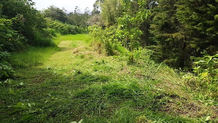 Venta terreno en San Jerónimo de Moravia in San Jerónimo, Moravia, San José — ₡ 150 000 000