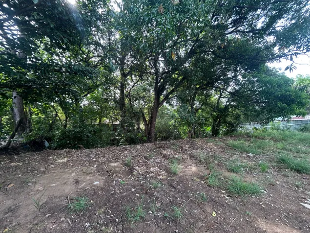 COMMERCIAL LOT FOR SALE, GUANACASTE, NICOYA CENTRO in Nicoya, Guanacaste — ₡ 285 000 000 - Photo 3 of 8