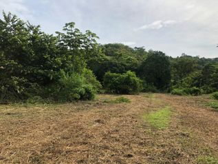 Master Plan listo para desarrollo en Herradura in Jacó, Garabito, Puntarenas — $1,100,000 - Photo 5 of 13