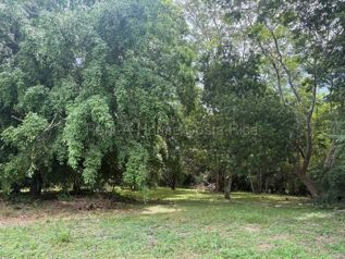 Venta de Lote en Orotina-La Ceiba. RAH 27-284 in La Ceiba, Orotina, Alajuela — 90 000 000 ₡ - Photo 3 of 7