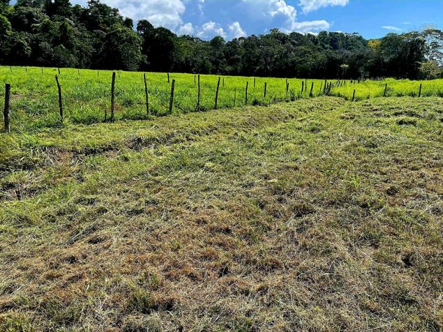 Terreno en Venta en Mata Palo, Quepos en Quepos, Puntarenas — $550,000 - Foto 3 de 8