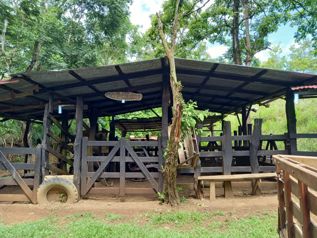Venta de finca en Esparza Puntarenas Sector parcelas el Barón